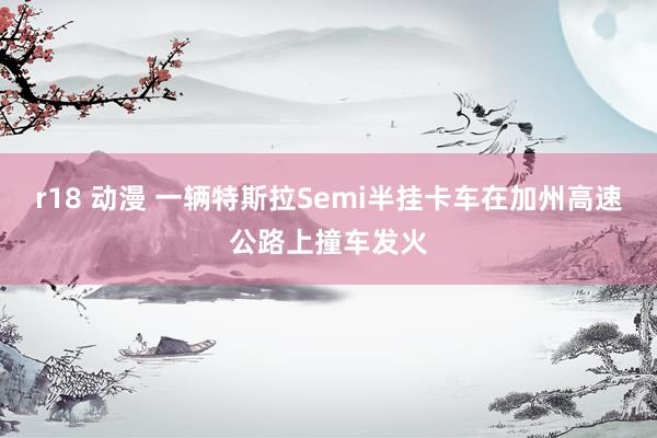 r18 动漫 一辆特斯拉Semi半挂卡车在加州高速公路上撞车发火