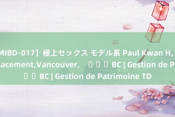 【MIBD-017】極上セックス モデル系 Paul Kwan H， Conseiller en placement，Vancouver，    			BC | Gestion de Patrimoine TD