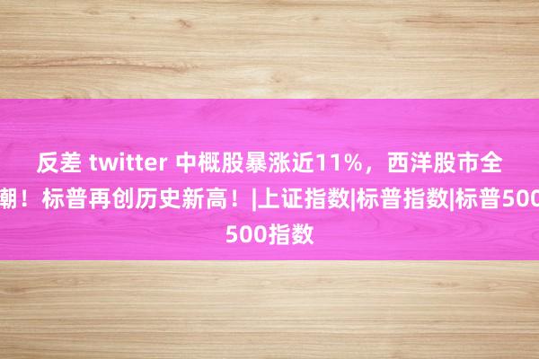 反差 twitter 中概股暴涨近11%，西洋股市全线高潮！标普再创历史新高！|上证指数|标普指数|标普500指数