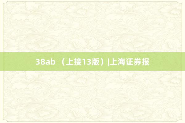 38ab （上接13版）|上海证券报